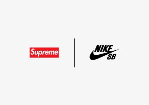 Supreme x Nike SB Dunk High And Low